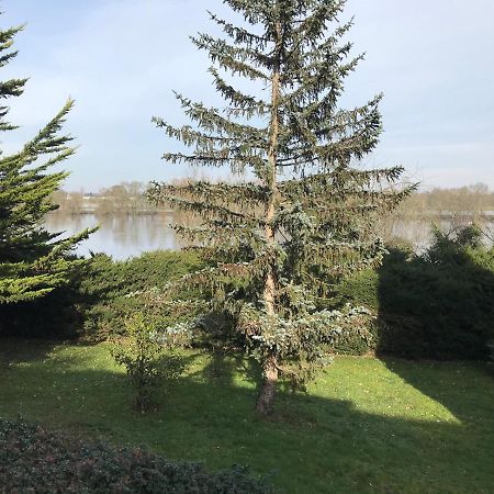 Une Nuit Sur Loire Treves-Cunault エクステリア 写真
