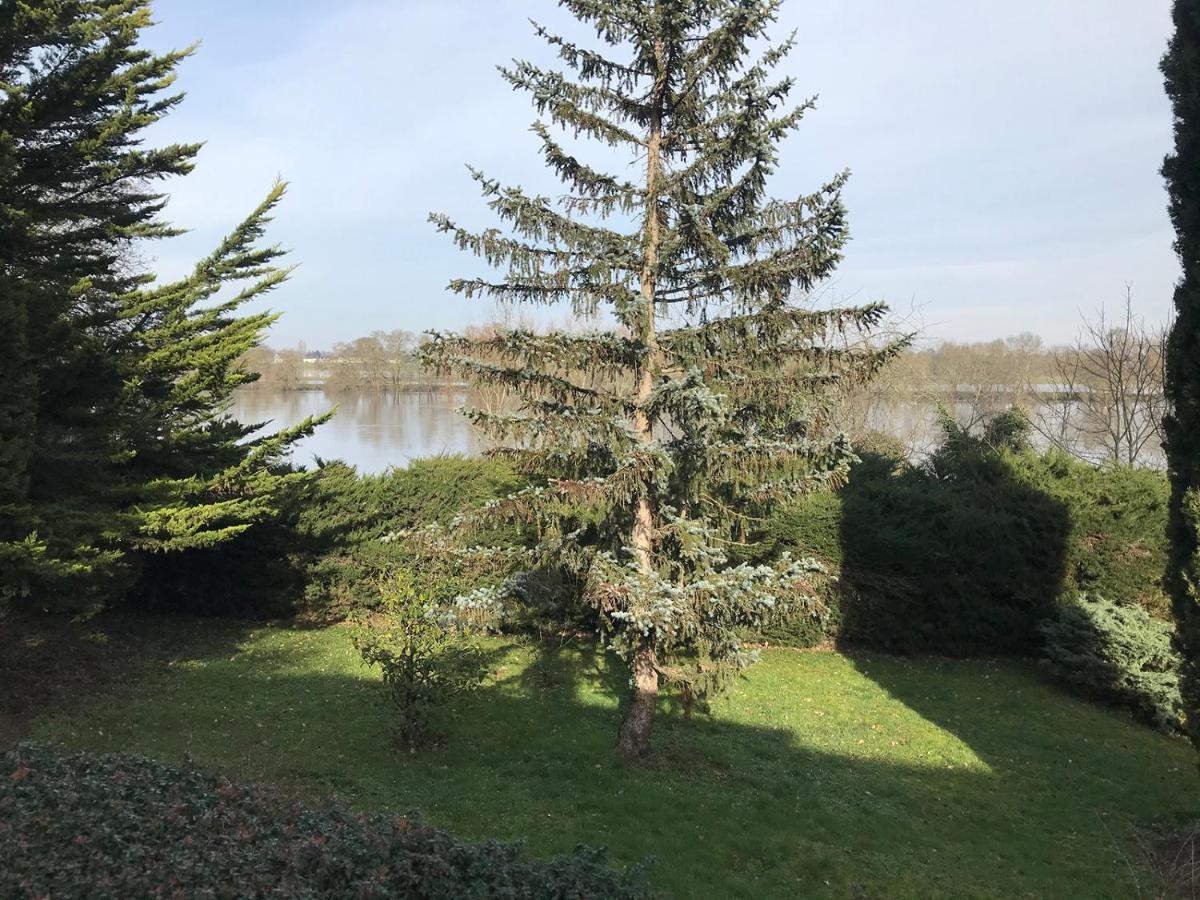 Une Nuit Sur Loire Treves-Cunault エクステリア 写真